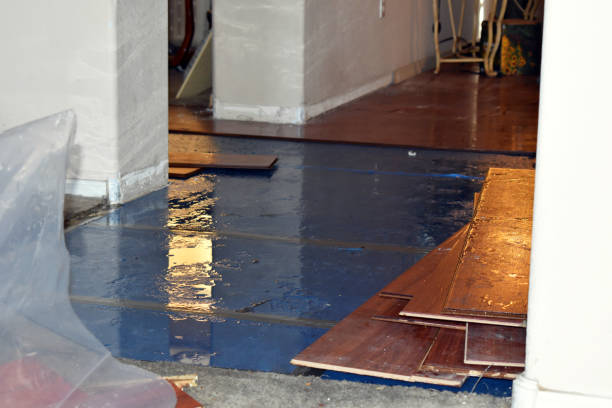 Professional Burst Pipe Cleanup technician working in Hancock, ME